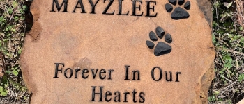 Pet Markers